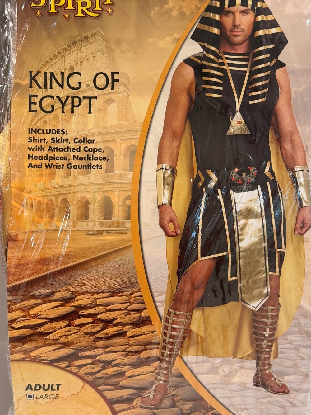 King of Egypt Adult Costume and sandles - Black and Gold